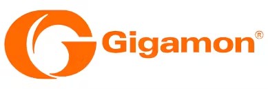 Gigamon